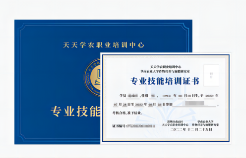 PA旗舰厅专业技能培训证书