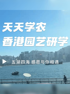 与香港园艺学会联合举办香港园艺研学，专业园境师带队讲解。