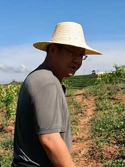 农业人叶涛，50多岁通讯人跨界搞农业，他要用1000万打造一个梦。